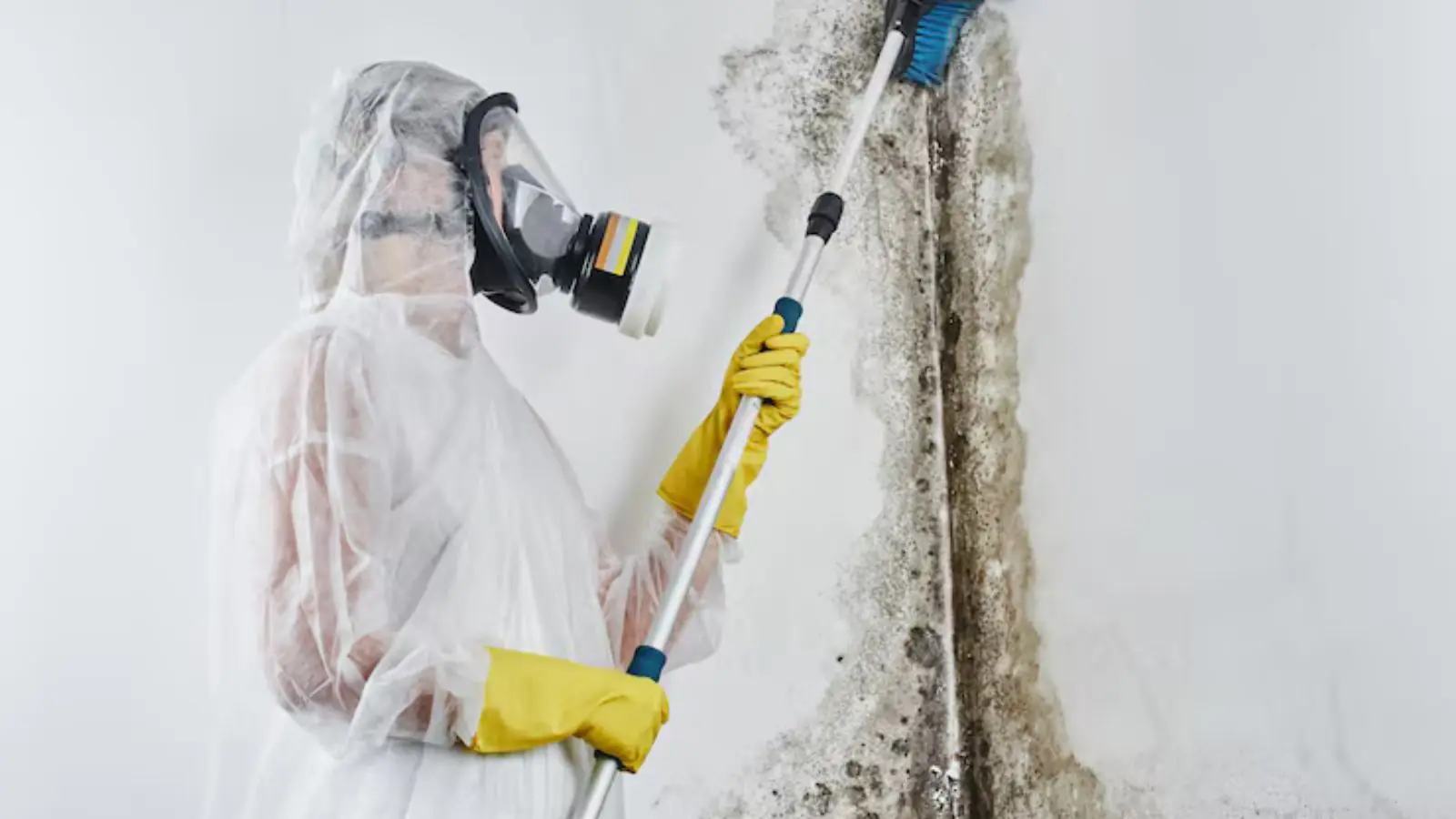 Mold remediation technician in a respirator and protective suit treating a wall