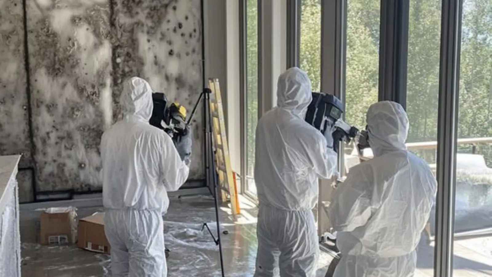 Professional mold remediation team in white protective suits inspecting a room