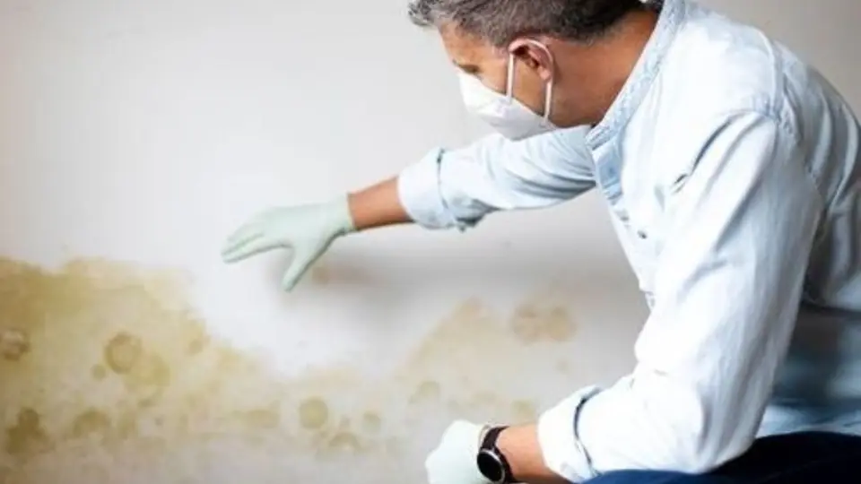 Inspector in a mask checking water-stained drywall before repair