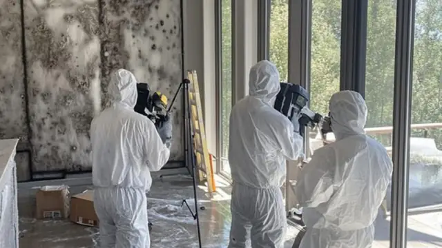 Professional mold remediation team in white protective suits inspecting a room