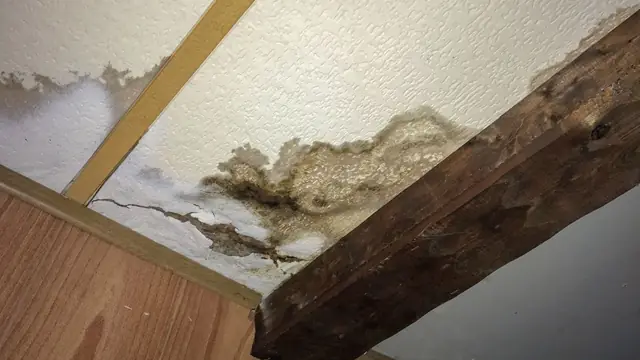 Mold and water staining on a ceiling beside a wooden beam